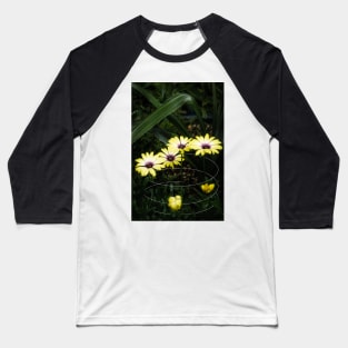 Yellow Cape Marguerite Daisy Geometric Baseball T-Shirt